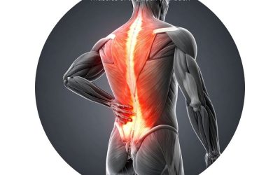 Tech Neck Relief: A 2026 Guide to Cervical Spine Health